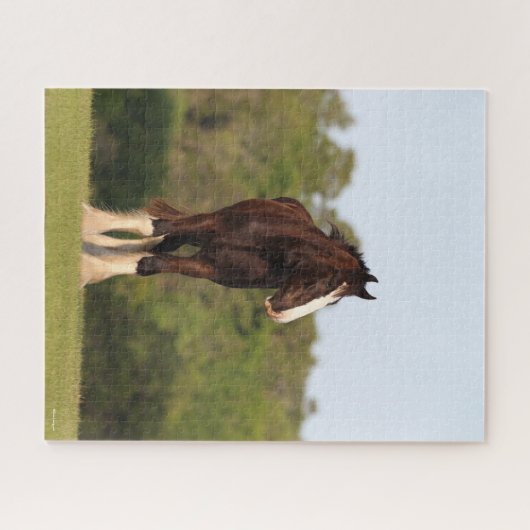 Bob Langrish | Im Feld Stehendes Pferd Puzzle (Horizontal)