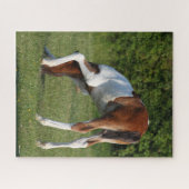 Bob Langrish | Irish Sport Horse Foal Grazing Puzzle (Horizontal)