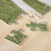 Bob Langrish | Irish Sport Horse Foal Hiding Puzzle (Seite)