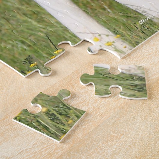 Bob Langrish | Irish Sport Horse Foal Hiding Puzzle (Seite)