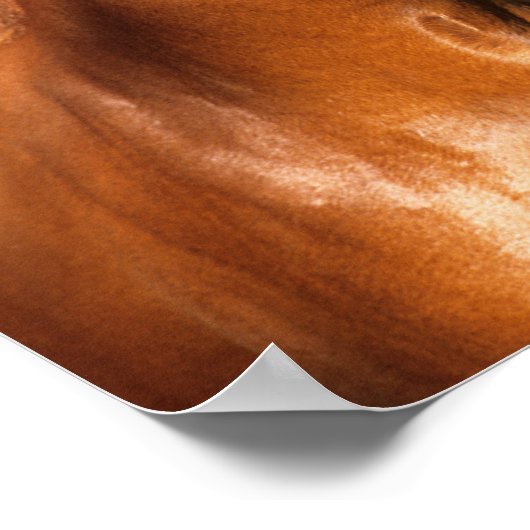 Bob Langrish | Kastanie Hanoverian Pferdekopf Poster (Ecke)