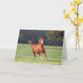 Bob Langrish | Kastanie Oldenburg Running Karte (Gelbe Blume)