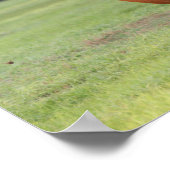 Bob Langrish | Kastanie Oldenburg Running Poster (Ecke)