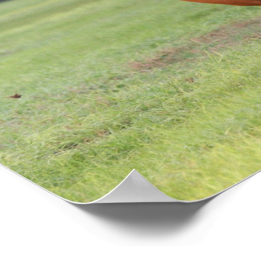 Bob Langrish | Kastanie Oldenburg Running Poster (Ecke)