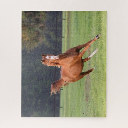 Bob Langrish | Kastanie Oldenburg Running Puzzle (Vertikal)