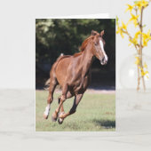 Bob Langrish | Kastanie Tennessee Walker Running Karte (Gelbe Blume)