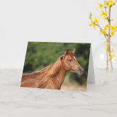 Bob Langrish | Kastanienarabischer Kopfschuss Karte (Gelbe Blume)