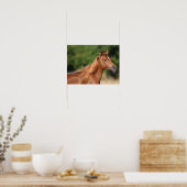 Bob Langrish | Kastanienarabischer Kopfschuss Poster (Küche)