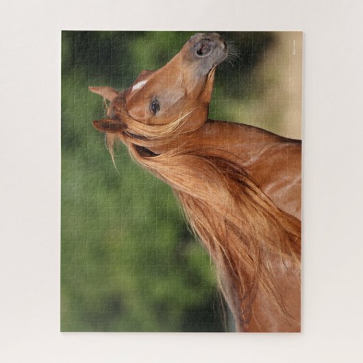 Bob Langrish | Kastanienarabischer Kopfschuss Puzzle (Vertikal)