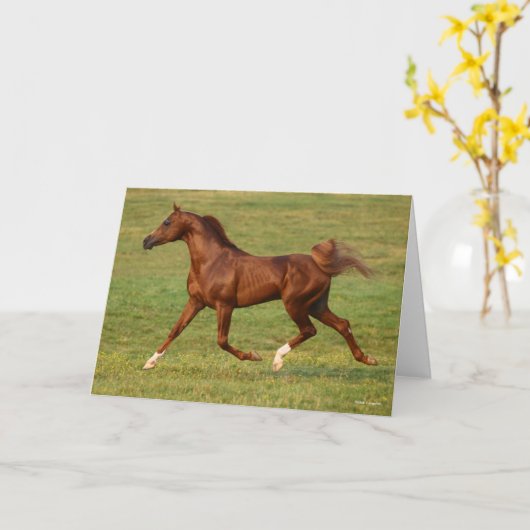 Bob Langrish | Kastanienbändchen Karte (Gelbe Blume)