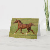 Bob Langrish | Kastanienbändchen Karte (Vorderseite)