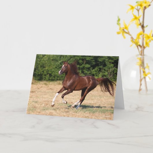 Bob Langrish | Kastanienbändchen Karte (Gelbe Blume)