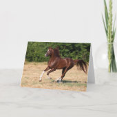 Bob Langrish | Kastanienbändchen Karte (Vorderseite)