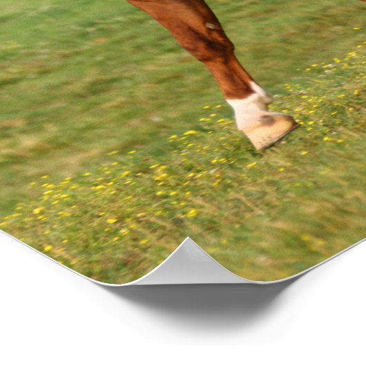 Bob Langrish | Kastanienbändchen Poster (Ecke)