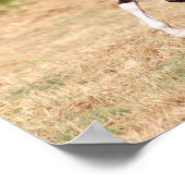 Bob Langrish | Kastanienbändchen Poster (Ecke)