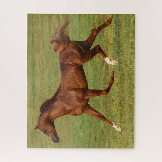 Bob Langrish | Kastanienbändchen Puzzle (Vertikal)