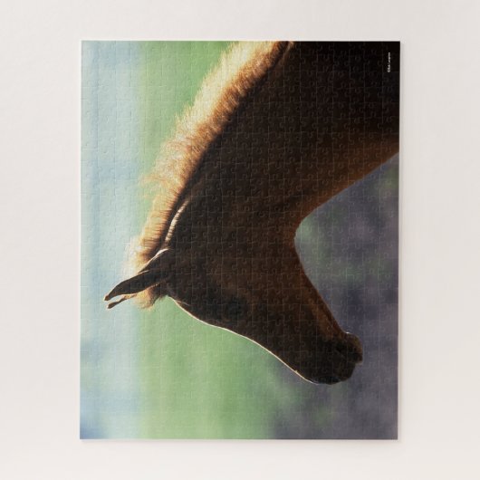 Bob Langrish | Kastanienfohlen-Hinterbeleuchtung K Puzzle (Vertikal)