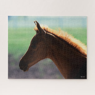 Bob Langrish   Kastanienfohlen-Hinterbeleuchtung K Puzzle