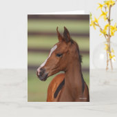 Bob Langrish | Kastanienfossilkopf Karte (Gelbe Blume)