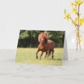 Bob Langrish | Kastanienhaie Pony Stallion Karte (Gelbe Blume)