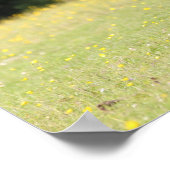 Bob Langrish | Kastanienhaie Pony Stallion Poster (Ecke)