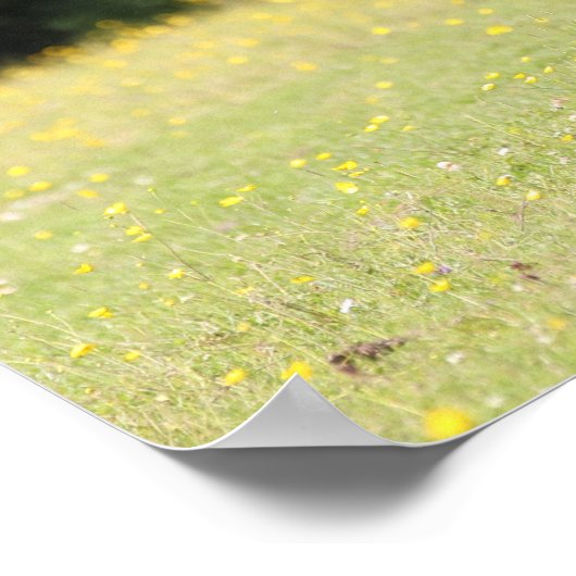 Bob Langrish | Kastanienhaie Pony Stallion Poster (Ecke)