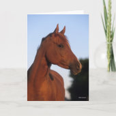 Bob Langrish | Kastanienkopfschock Karte (Vorderseite)