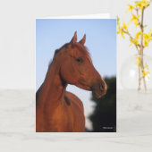 Bob Langrish | Kastanienkopfschock Karte (Gelbe Blume)