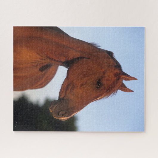 Bob Langrish | Kastanienkopfschock Puzzle (Horizontal)