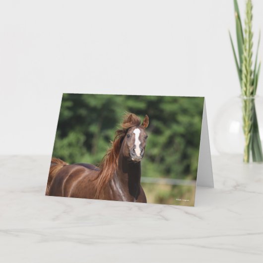 Bob Langrish | Kastanienkopfschuss Karte (Vorderseite)