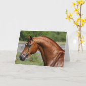 Bob Langrish | Kastanienkopfschuss Karte (Gelbe Blume)