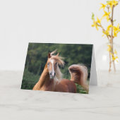 Bob Langrish | Kastanienkopfschuss Karte (Gelbe Blume)