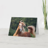 Bob Langrish | Kastanienkopfschuss Karte (Vorderseite)