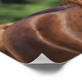 Bob Langrish | Kastanienkopfschuss Poster (Ecke)