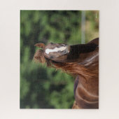 Bob Langrish | Kastanienkopfschuss Puzzle (Vertikal)