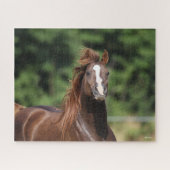 Bob Langrish | Kastanienkopfschuss Puzzle (Horizontal)