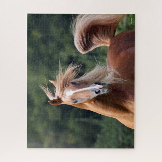 Bob Langrish | Kastanienkopfschuss Puzzle (Vertikal)