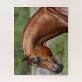 Bob Langrish | Kastanienkopfschuss Puzzle (Vertikal)