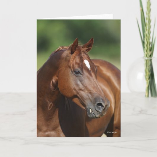 Bob Langrish Kastanienviertel Horse Mare Headshot Karte (Vorderseite)