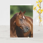 Bob Langrish Kastanienviertel Horse Mare Headshot Karte (Gelbe Blume)