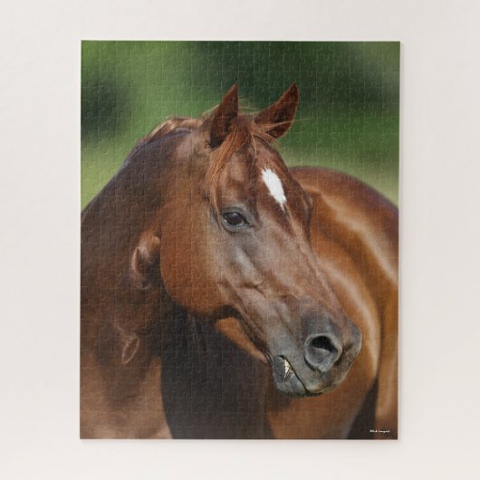 Bob Langrish Kastanienviertel Horse Mare Headshot Puzzle (Vertikal)