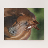 Bob Langrish Kastanienviertel Horse Mare Headshot Puzzle (Horizontal)