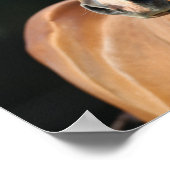 Bob Langrish | Kastanienviertel Pferdekopfschuss Poster (Ecke)