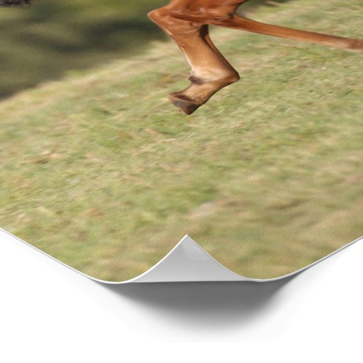 Bob Langrish | Kastanienviertel Poster (Ecke)