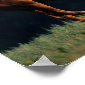 Bob Langrish | Kastanienwärmeln Poster (Ecke)