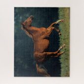 Bob Langrish | Kastanienwärmeln Puzzle (Vertikal)