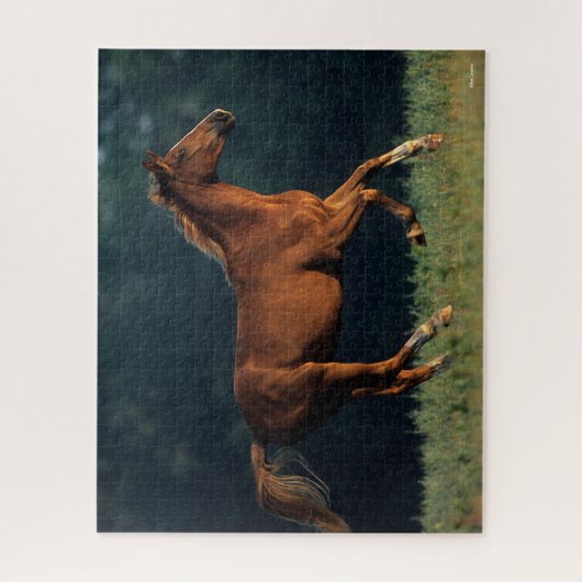 Bob Langrish | Kastanienwärmeln Puzzle (Vertikal)