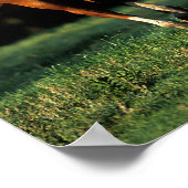 Bob Langrish | Kastanienwärmespinne läuft Poster (Ecke)