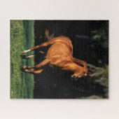 Bob Langrish | Kastanienwärmespinne läuft Puzzle (Horizontal)