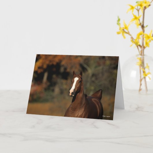 Bob Langrish | Kastanienwurzel Karte (Gelbe Blume)